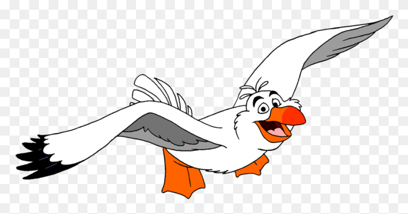 894x438 Seagull Cartoon Seagull Clip Art, Animal, Bird, Puffin HD PNG Download