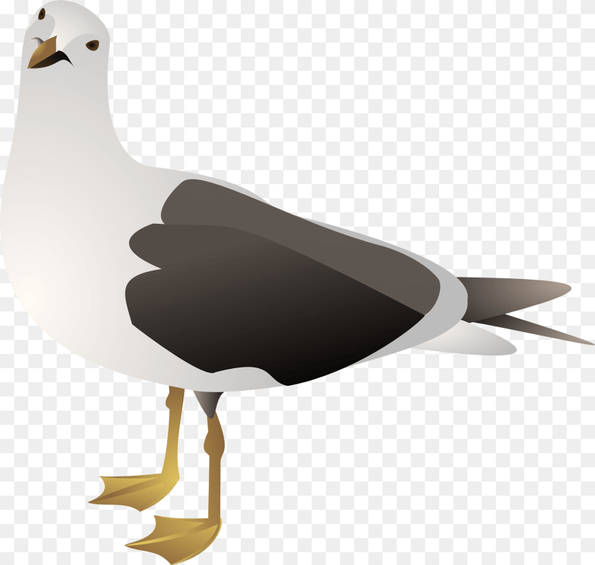 1920x1825 Seagull Clipart, Animal, Bird, Waterfowl PNG
