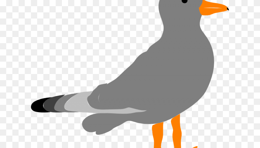 Seagull Clipart Vector Clip Art Gull, Animal, Bird, Waterfowl, Person Transparent PNG