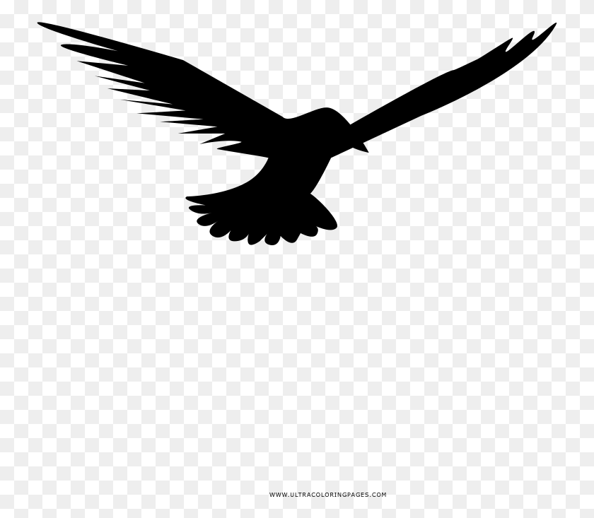 737x673 Seagull Coloring, Gray, World Of Warcraft HD PNG Download