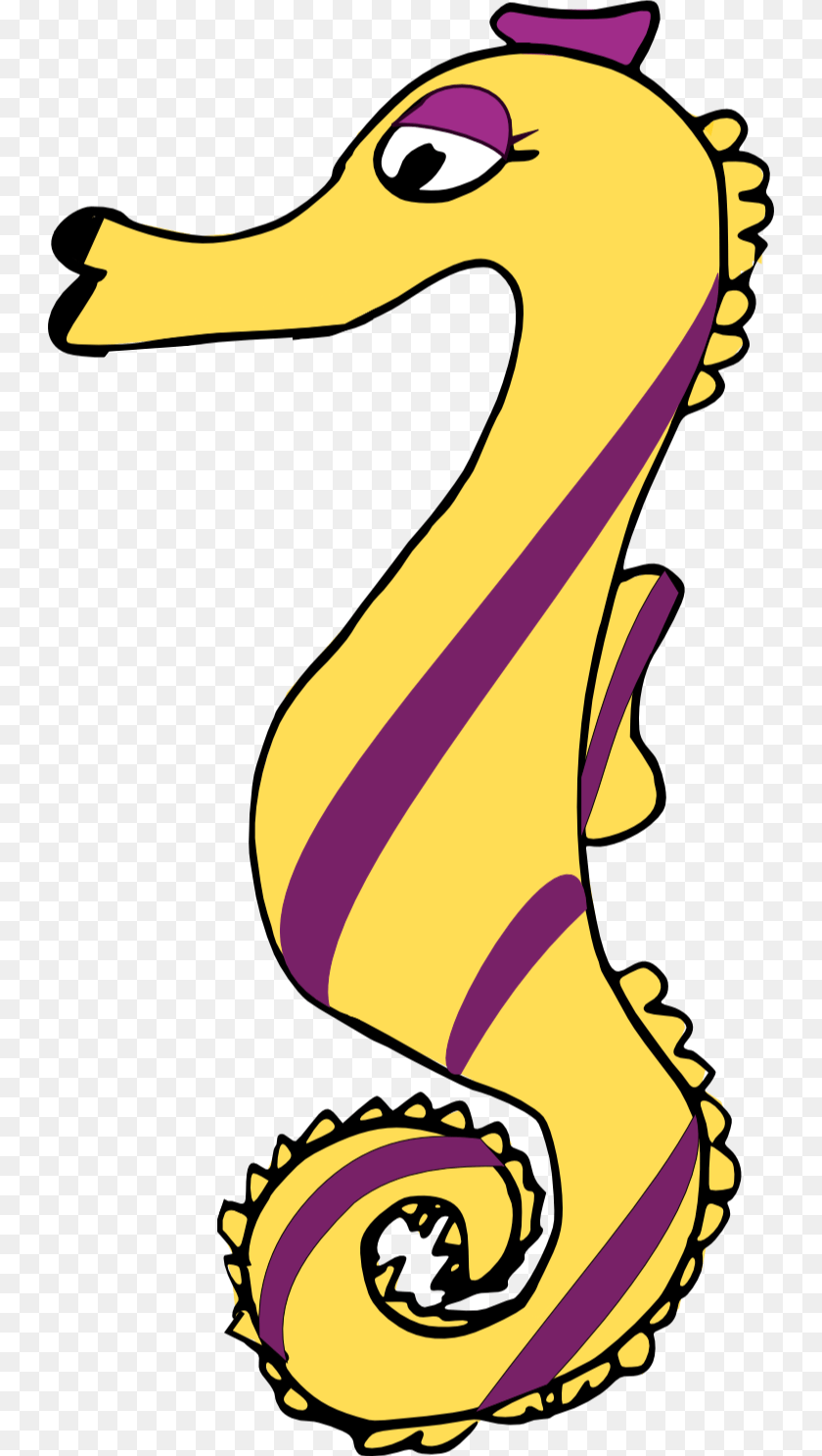 Seahorse, Animal, Mammal, Sea Life, Baby PNG