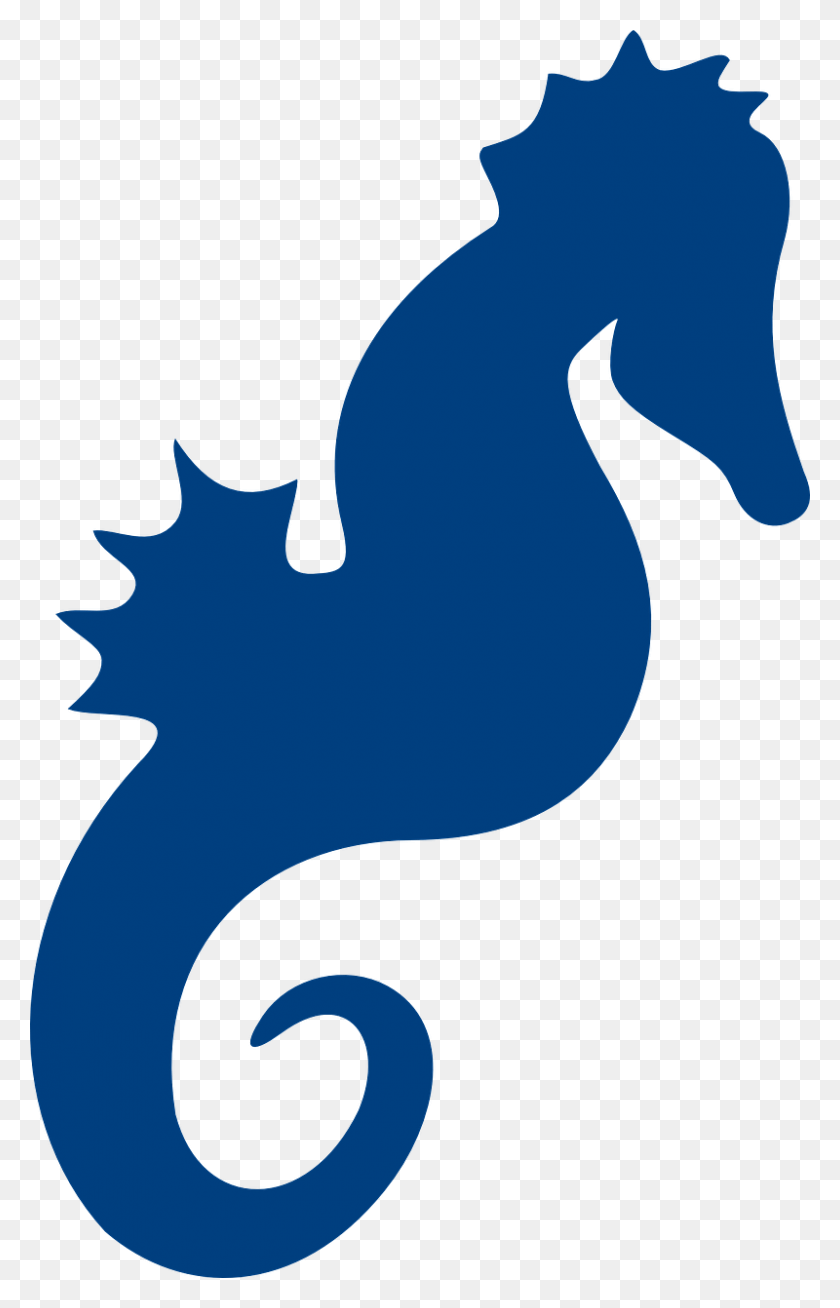 800x1280 Seahorse Sea Life Ocean Image Cavalo Marinho Azul, Text, Animal Hd Png