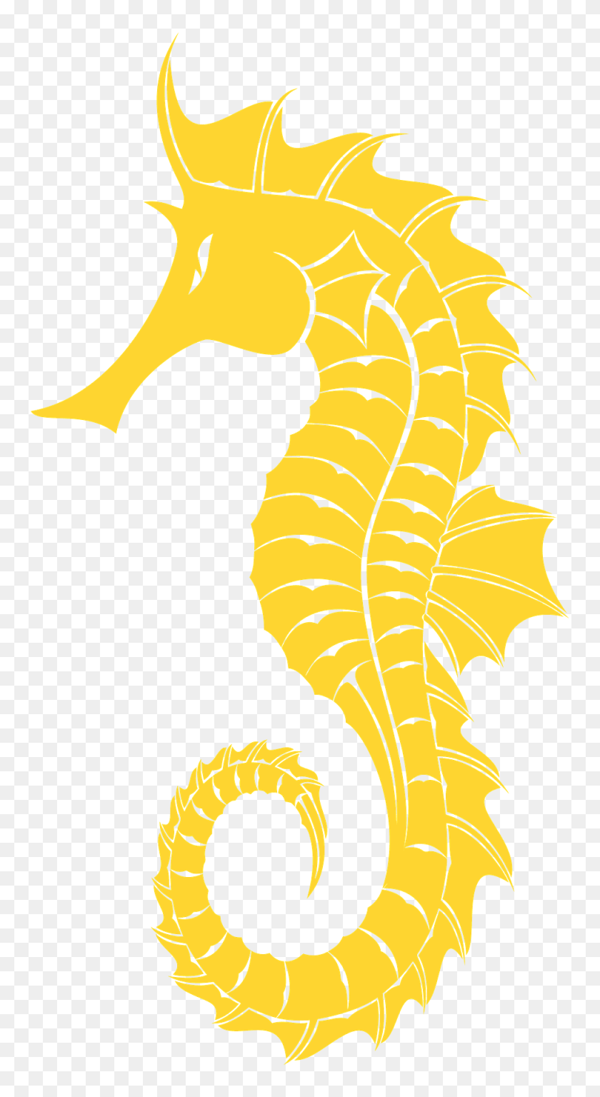 1050x1920 Seahorse Silhouette, Animal, Sea Life, Mammal Clipart PNG