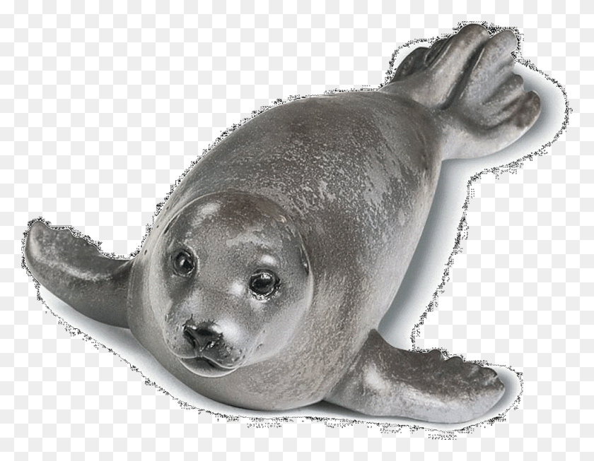 972x740 Seal Lion 1 800 Are You Slappin, Sea Lion, Mammal, Sea Life HD PNG Download