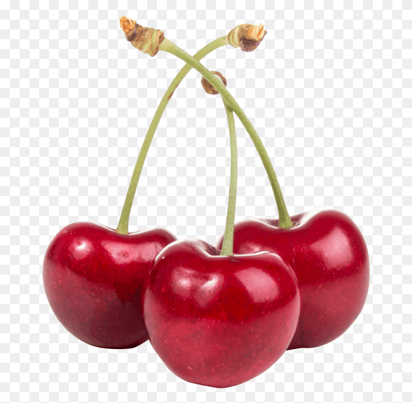 670x762 Searchpng On December 1 Cherry, Plant, Fruit, Food HD PNG Download
