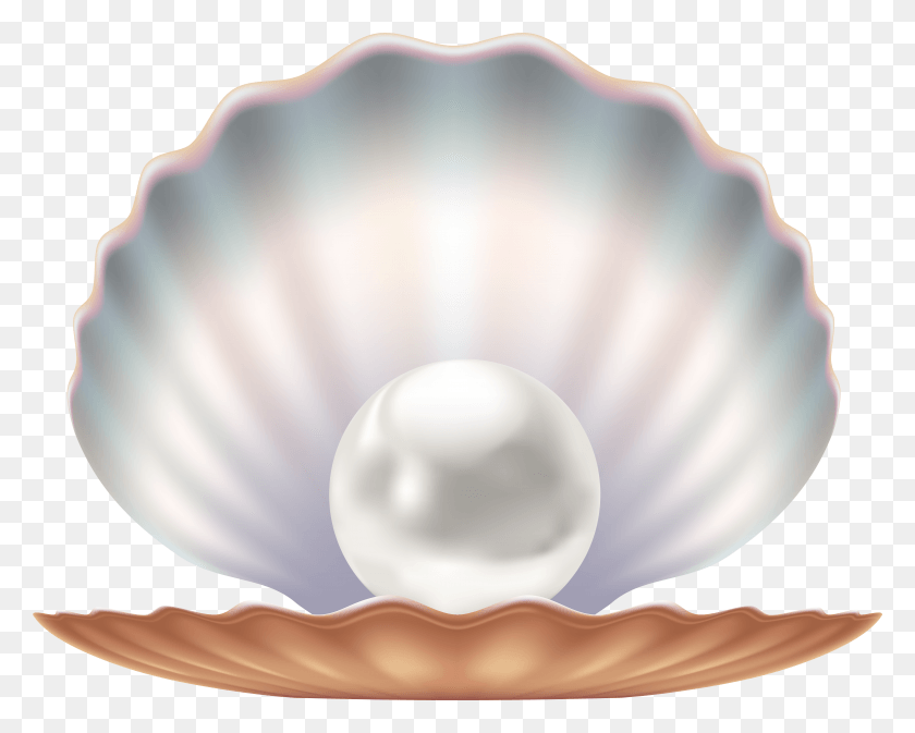 7875x6199 Seashell And Pearl Transparent Image HD PNG Download