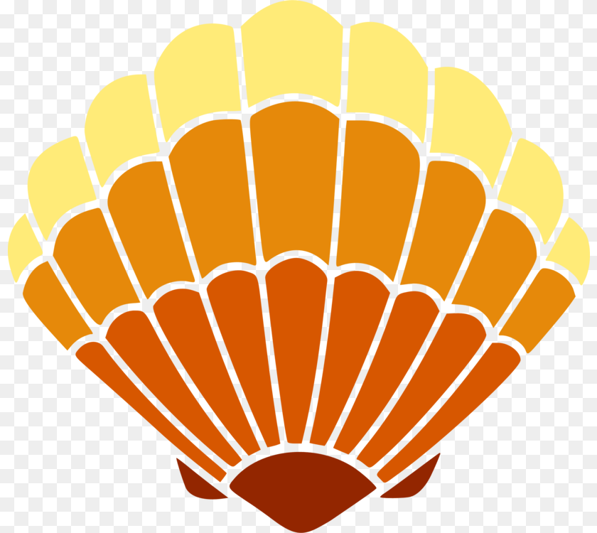 819x750 Seashell Encapsulated Postscript Autocad Dxf Drawing Microsoft, Aircraft, Hot Air Balloon, Transportation, Vehicle Clipart PNG