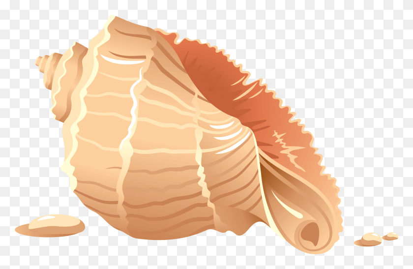 4546x2844 Ilustración De Concha De Mar, Croissant, Alimentos Hd Png