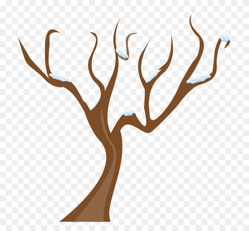 717x720 Season Tree Winter Snow Cold Tree Without Leaves Vector, Antler HD PNG Download