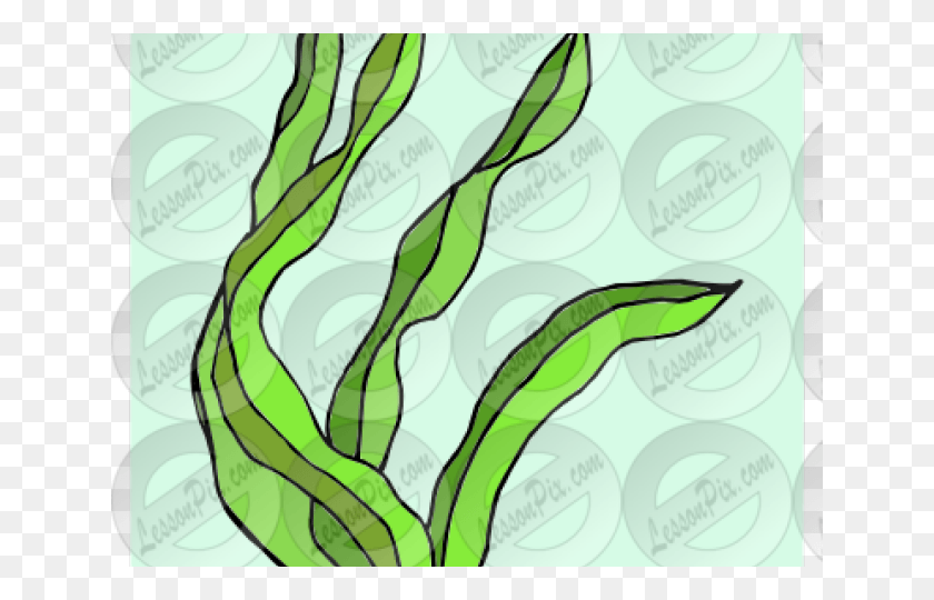 640x480 Seaweed Clipart Landscape Illustration, Plant HD PNG Download