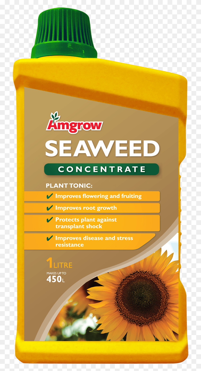 736x1490 Seaweed Concentrate Ref Sunflower, Poster, Advertisement, Flyer HD PNG Download