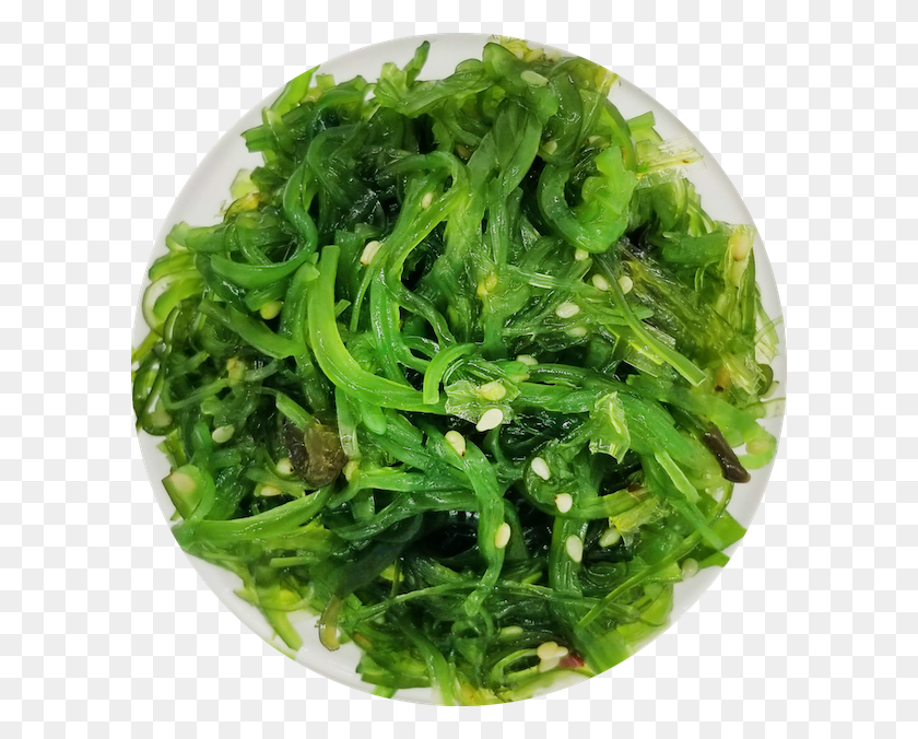 600x616 Seaweed Salad Parsley, Plant, Vegetation, Moss HD PNG Download