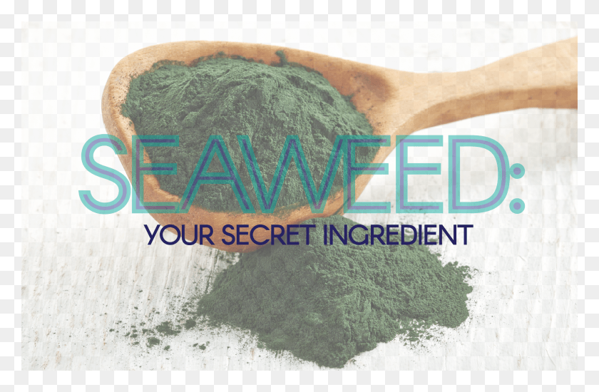 2584x1626 Seaweed Thread HD PNG Download