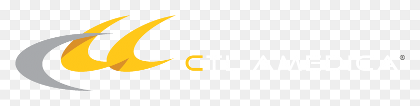 1881x370 Sec Filings, Text, Logo, Symbol HD PNG Download