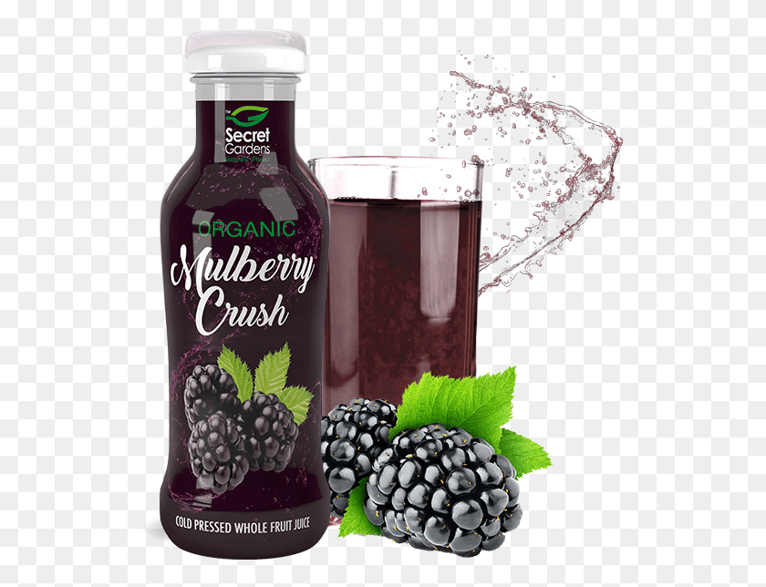 532x584 Secret Gardens39 Organic Mulberry Crush - 100 Чистого Виноградного Сока, Растение, Еда, Фрукты Png Скачать