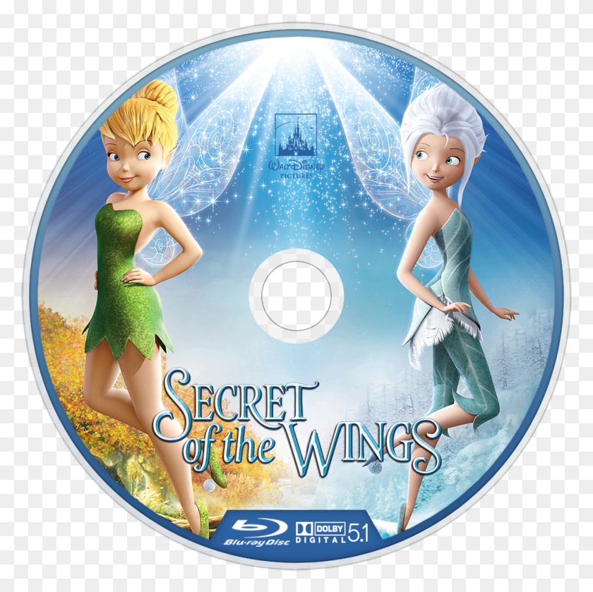 1000x1000 Secret Of The Wings Movie, Disk, Person, Human HD PNG Download