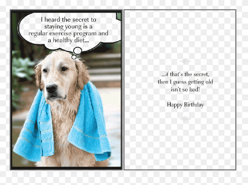 791x575 Secret To Staying Birthday Card Greeting Card, Towel, Bath Towel, Dog HD PNG Download