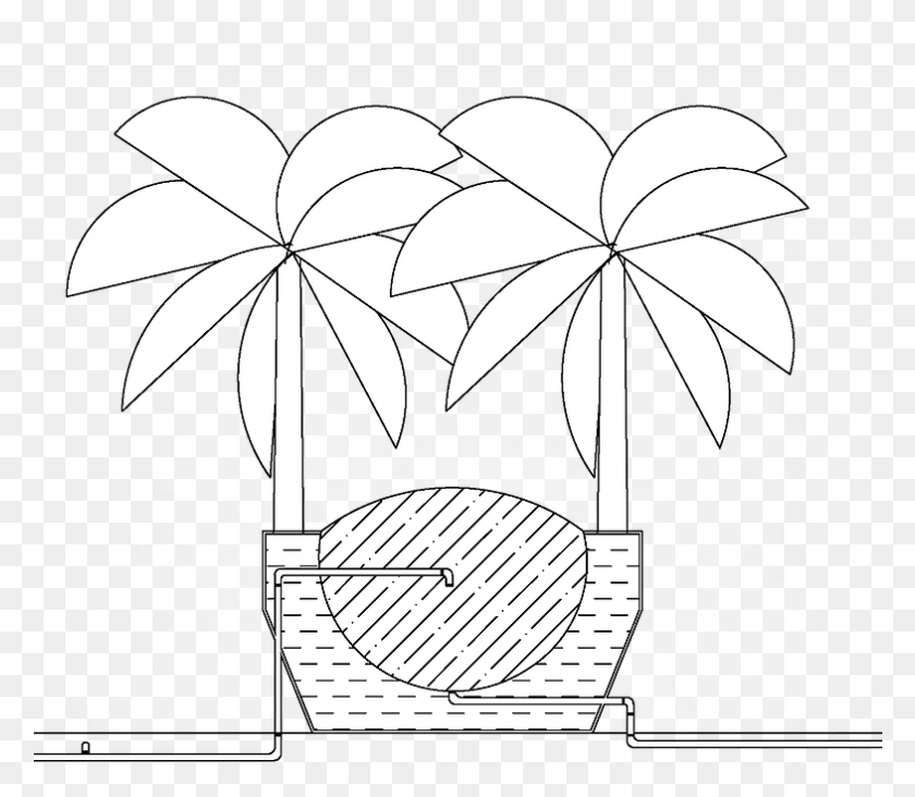 785x677 Иллюстрация Бананового Дерева, Растение, Каракули Hd Png Скачать
