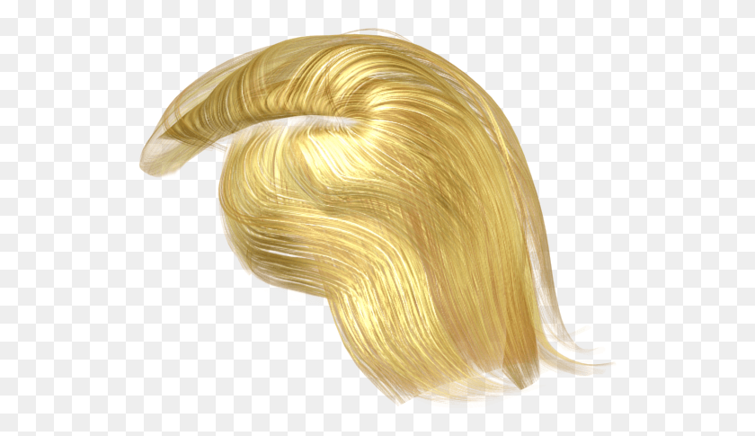 533x425 See More Details About The Full 3d Character File Format Trump Hair Transparent, Invertebrate, Animal, Sea Life HD PNG Download