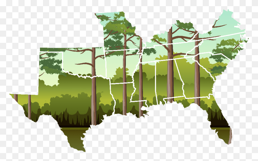 912x545 See Your State39S Statistics Tree, Map, Diagram, Plot Descargar Hd Png