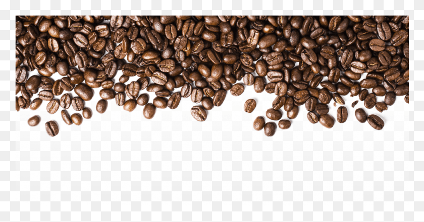 980x479 Seed Clipart Kopi Coffee Beans Transparent, Plant, Vegetable, Food HD PNG Download