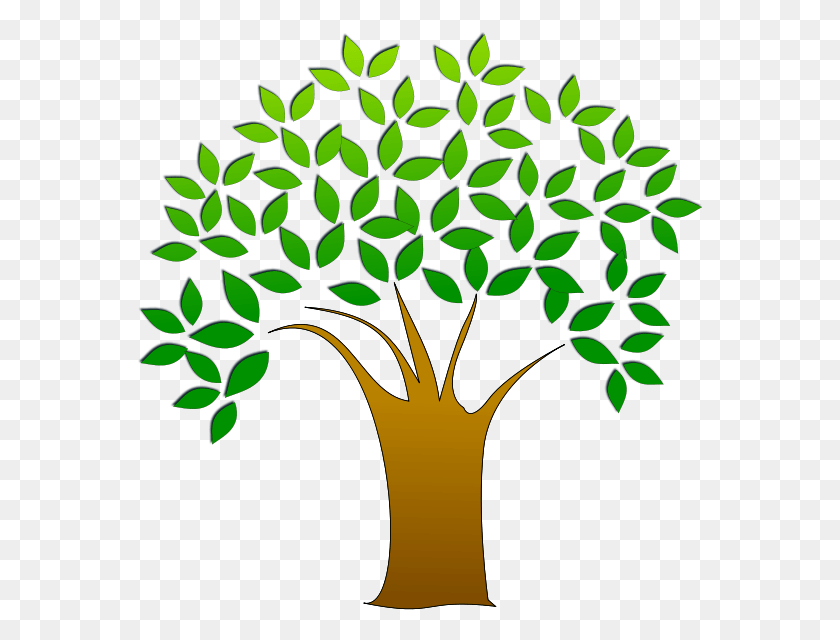 565x580 Seed Clipart Tree Clipart Transparent Background, Graphics, Floral Design HD PNG Download