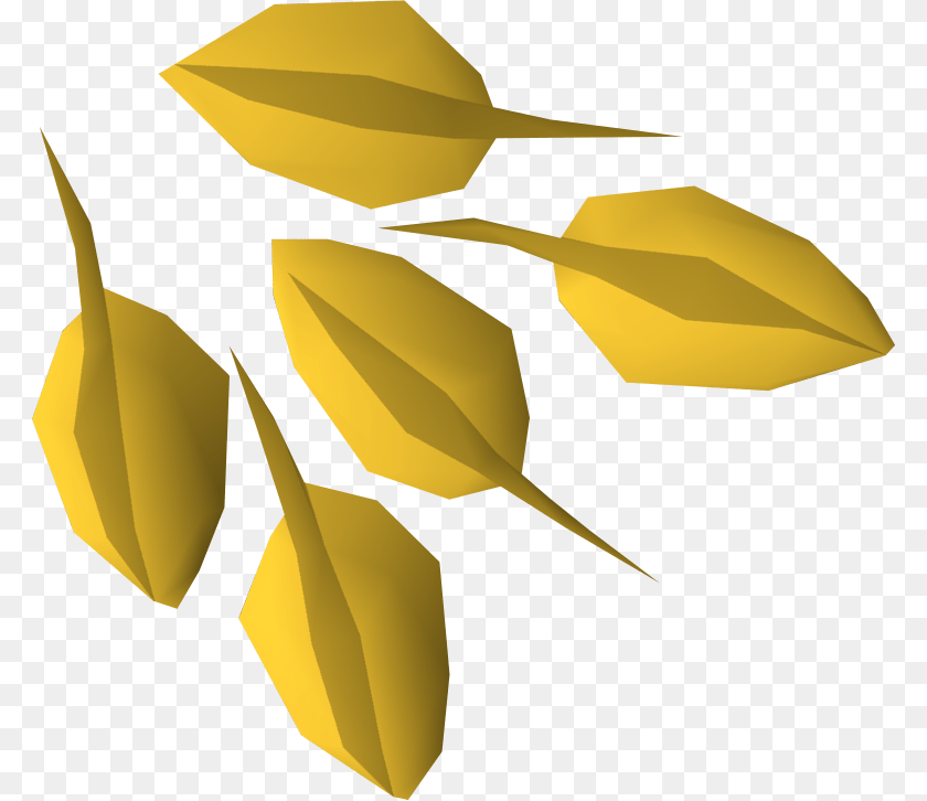 783x726 Seed Hd Portable Network Graphics, Leaf, Plant, Animal, Fish Clipart PNG