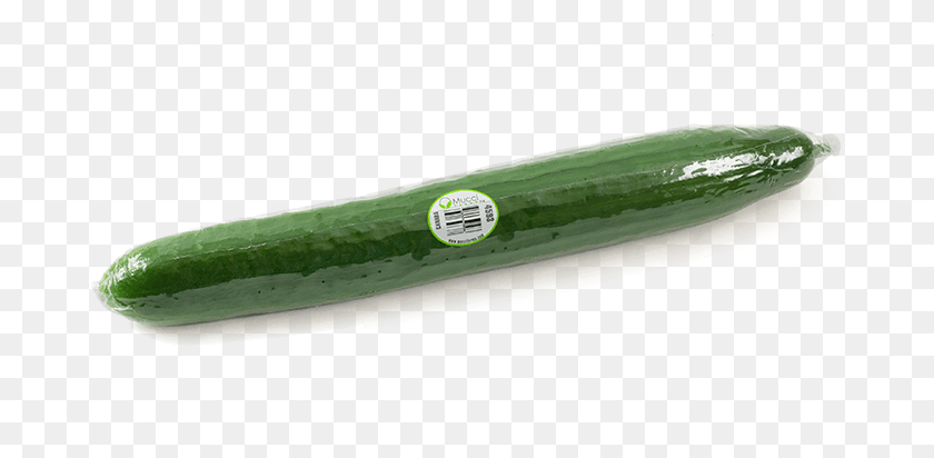 677x352 Seedless 1pack Zucchini, Plant, Cucumber, Vegetable HD PNG Download