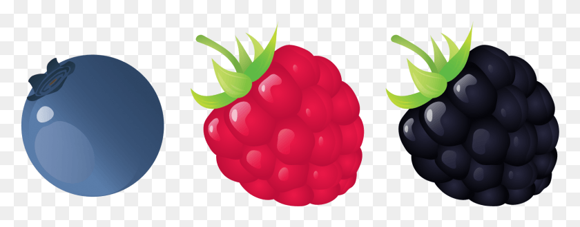 1612x558 Seedless Fruit, Raspberry, Plant, Food HD PNG Download