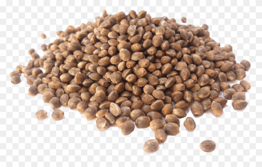 1281x785 Seeds, Plant, Produce, Food HD PNG Download
