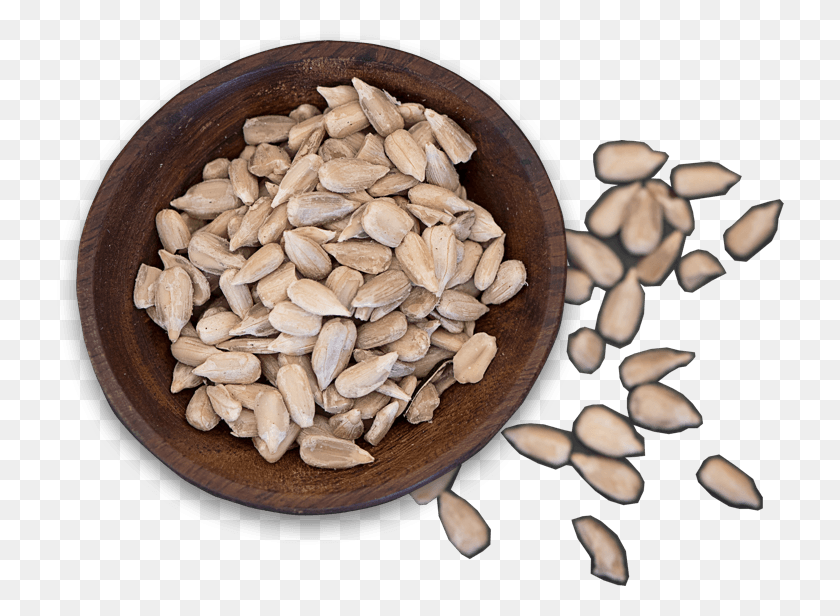 728x556 Seeds Sunflower Seed, Plant, Vegetable, Food HD PNG Download