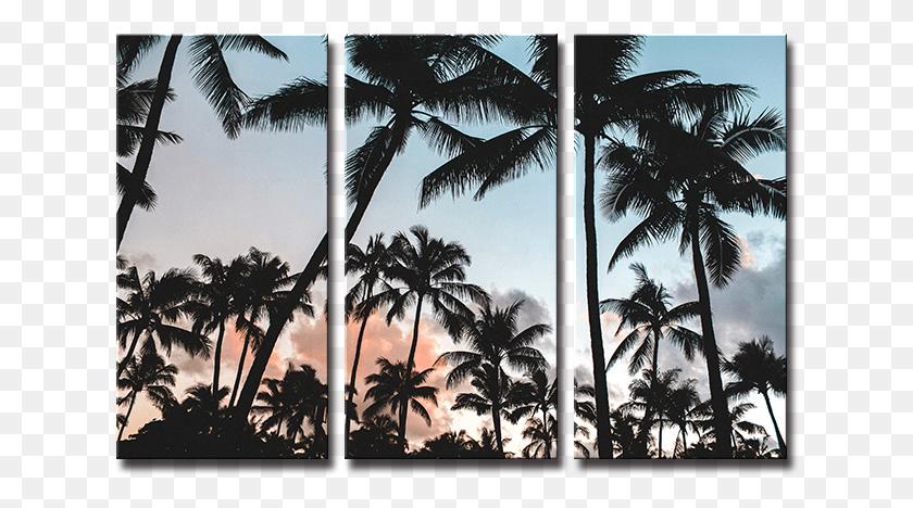 630x408 Seegart 3 Panels Beach Seascape Coconut Tree Wall Painting Palm Trees Background, Plant, Tree, Outdoors HD PNG Download