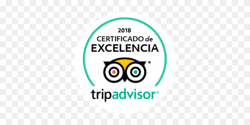 369x361 Segway Malaga Experience Obtiene El Certificado De Circle, Label, Text, Logo HD PNG Download