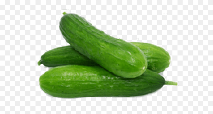 581x392 Sehat Mand Tips, Cucumber, Vegetable, Plant HD PNG Download