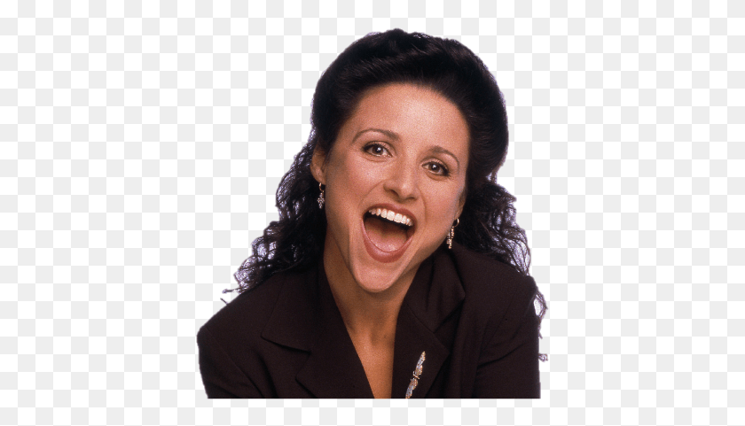 399x421 Seinfeld Elaine From Seinfeld, Face, Person, Female HD PNG Download
