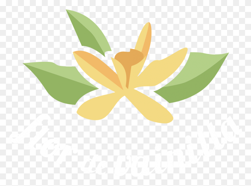965x696 Seinfeld No Soup For You Magnet Floral Design, Plant, Logo, Symbol HD PNG Download