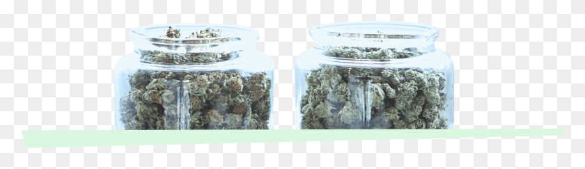 2500x588 Select From A Variety Of Premium Quality Marijuana Moss, Plant, Jar, Vegetable HD PNG Download