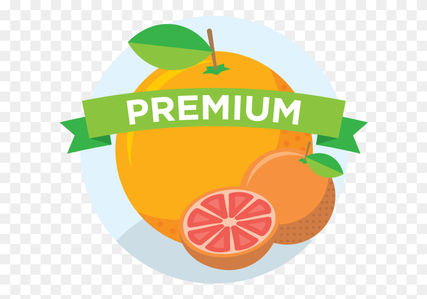 608x528 Selection Of Premium Juices From 100 Orange Juice Natural Foods, Plant, Citrus Fruit, Fruit HD PNG Download