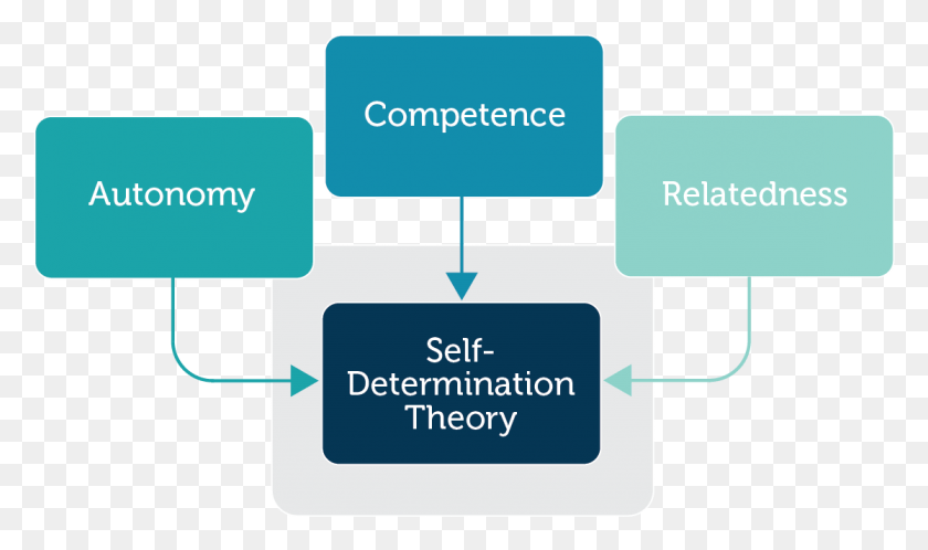 1115x627 Self Determinationtheory Pdf 01 Western Sydney Institute, Text, Label, Word HD PNG Download