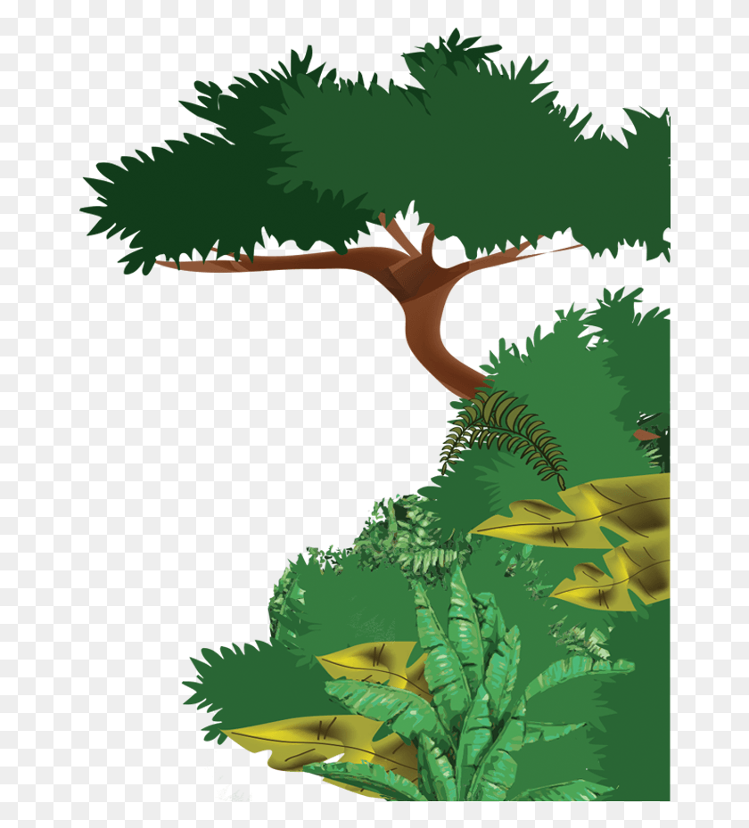 664x869 Сельва Дибухос, Растительность, Растение, Дерево Hd Png Скачать