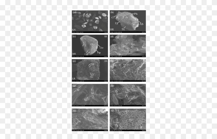 850x524 Sem Photographs Of The Sub Surficial Quartz Grains Igneous Rock, Collage, Poster, Advertisement HD PNG Download