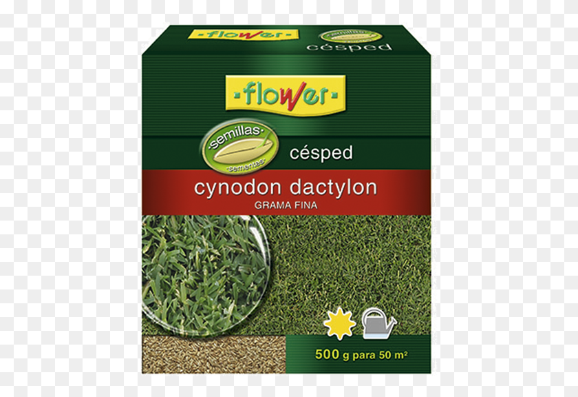 433x516 Semillas Cynodon Dactilon Semillas Cesped, Plant, Grass, Vase HD PNG Download