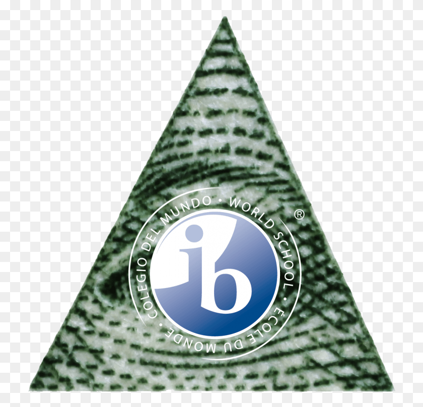 732x748 Senior Exposes Secret Behind Ib Classes Real Life Acute Triangle, Wristwatch, Plant, Symbol HD PNG Download