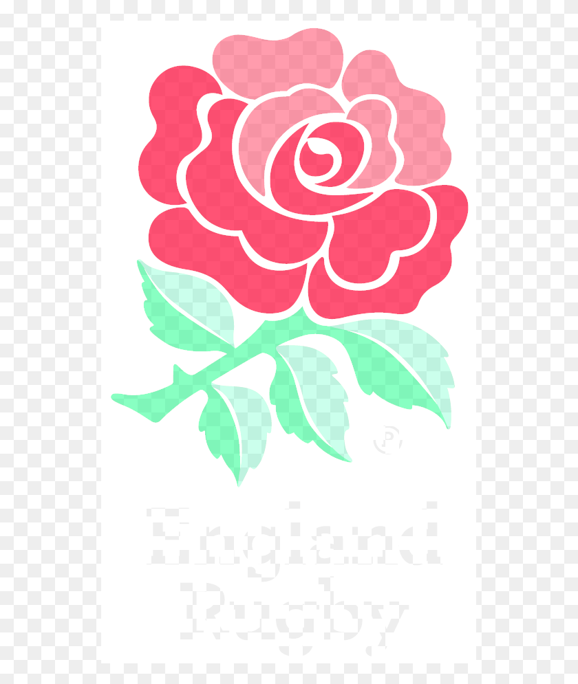 545x935 Descargar Png / Rugby De Inglaterra, Diseño Floral Hd Png