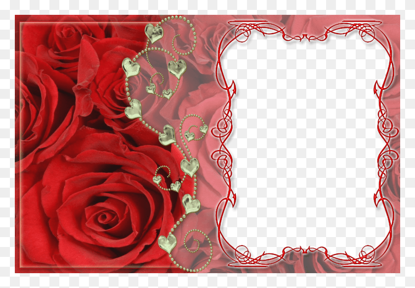 1600x1074 Descargar Png Separei Aqui Algumas Molduras Para Fotos Pra Comemorar Ultimate Dirty Dancing Album Cover, Rose, Flower, Plant Hd Png