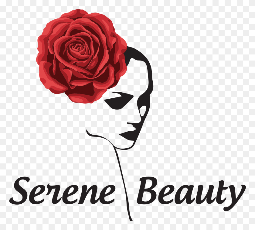 1711x1537 Безмятежная Красота Samford Garden Roses, Роза, Цветок, Растение Hd Png Скачать