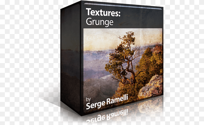 567x515 Serge Ramelli Textures, Book, Publication, Plant, Tree Transparent PNG