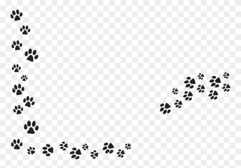 769x528 Series Of Paw Prints Images Background Dog Paw Prints Transparent, Plant, Gray, Floral Design HD PNG Download