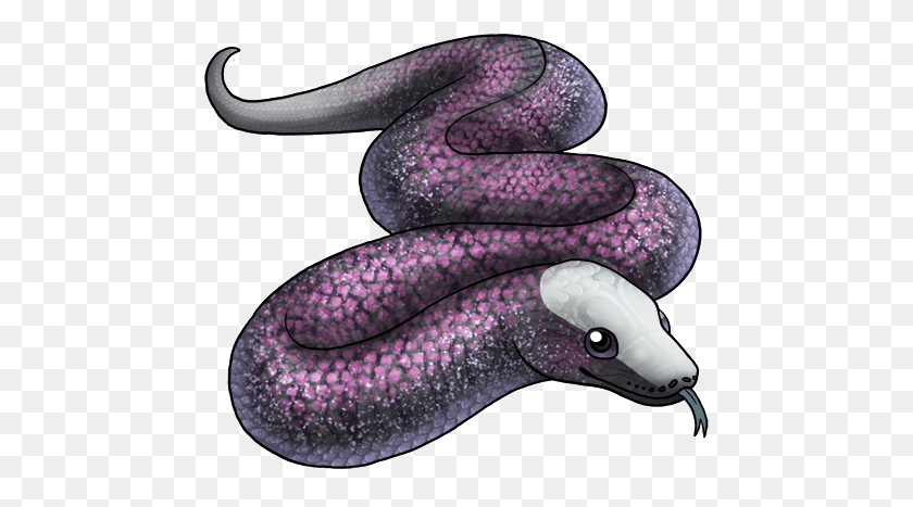 465x407 Serpiente, Animal, Vida Marina, Invertebrado Hd Png