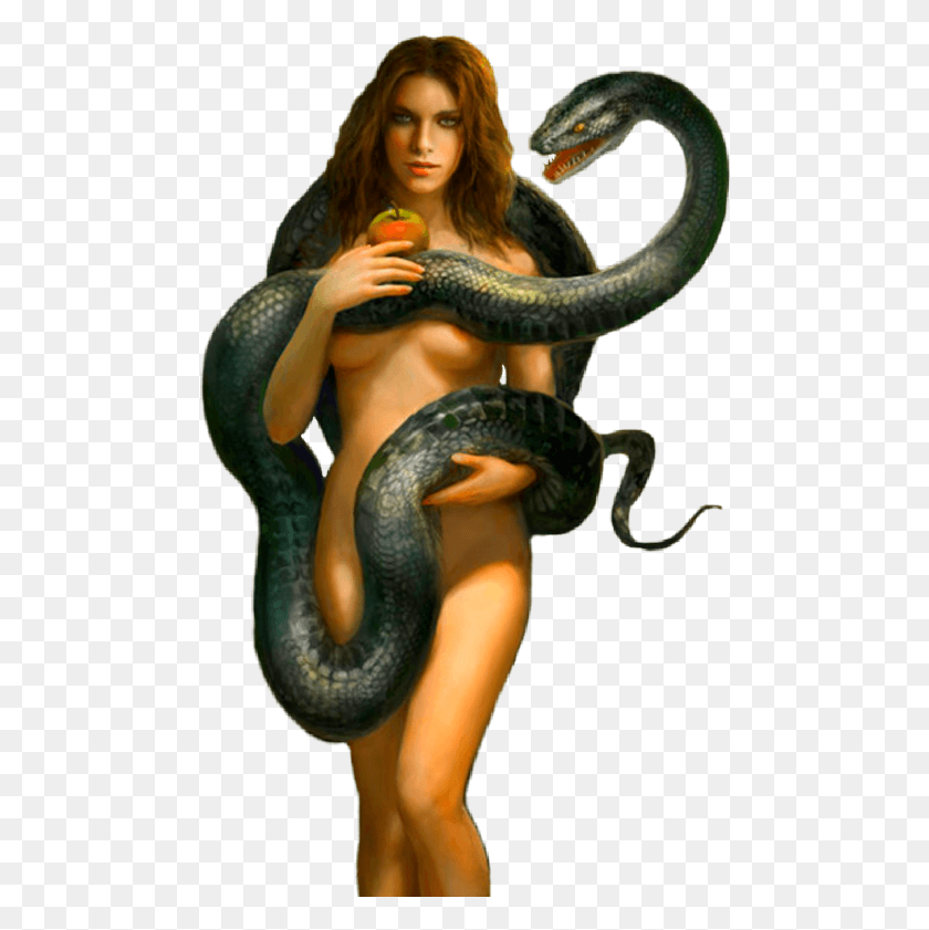 480x781 Serpent, Anaconda, Snake, Reptile HD PNG Download